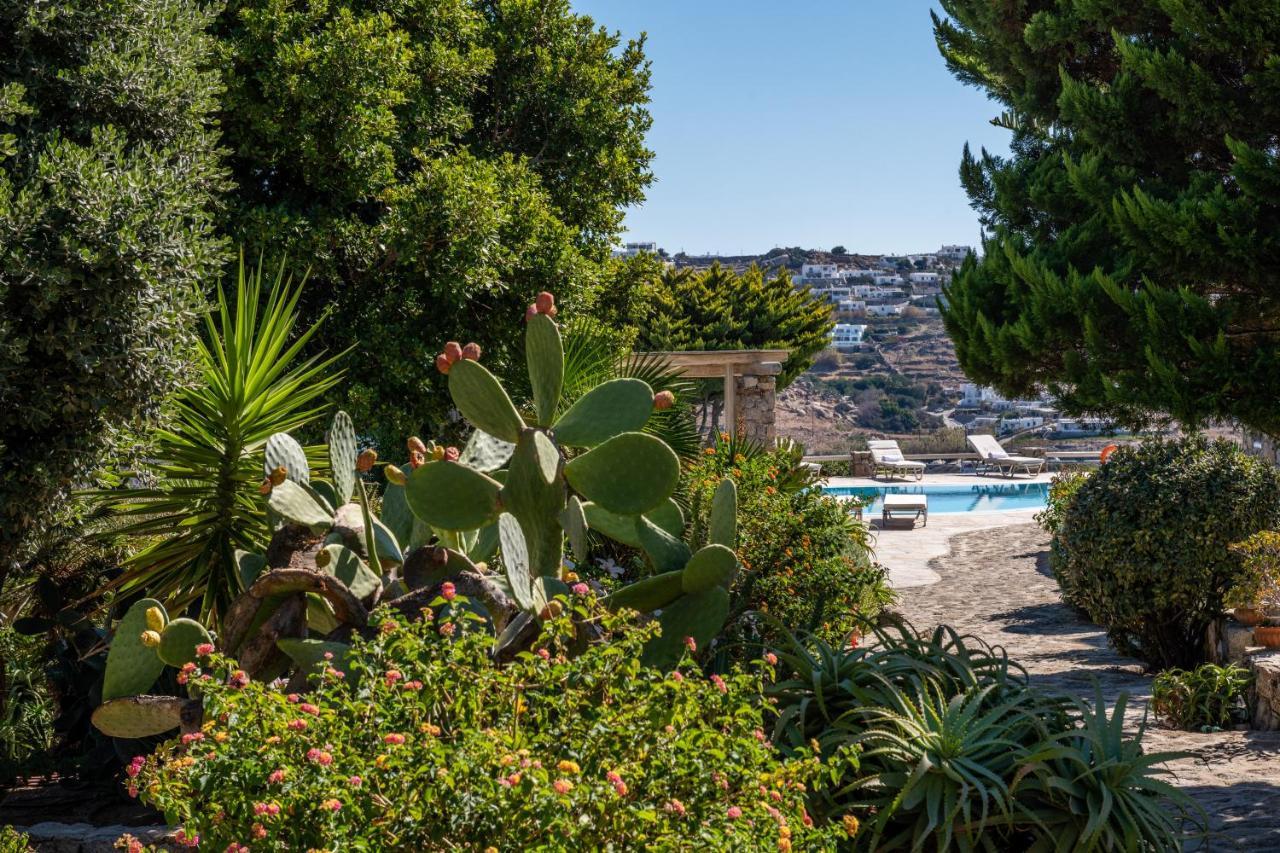 Mykonos Town Yalos Mykonos Ornos Pouli Private Apartments W Shared Swimming Pool מראה חיצוני תמונה